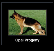 Link to Opal Progeny